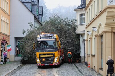 Weihnachtsbäume in Schwarzenberg und Aue sind am Montag "gelandet" - 