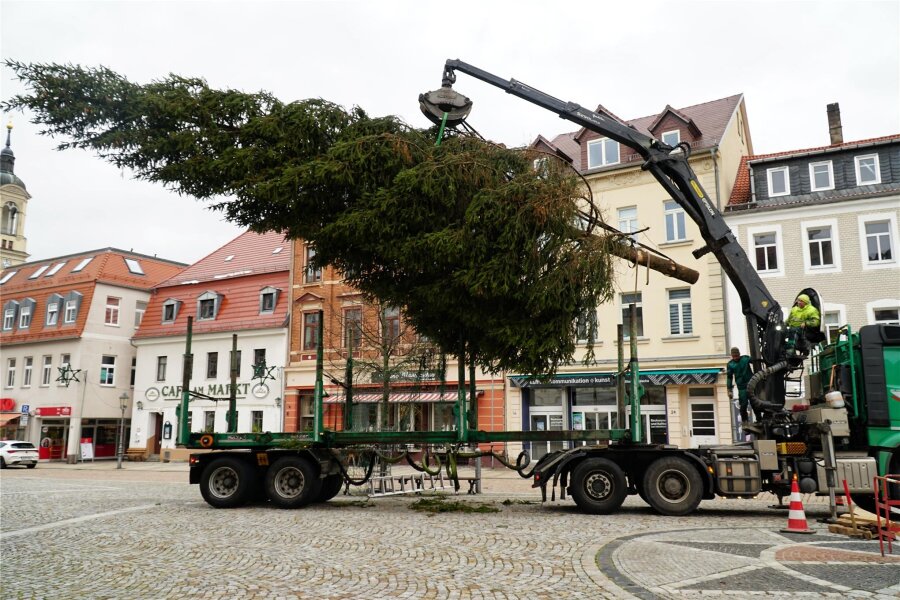 Weihnachtsbäume in Werdau und Crimmitschau aufgestellt - Die Transportfirma Heid aus Kirchberg hat die 13 Meter hohe Fichte nach Werdau gebracht.