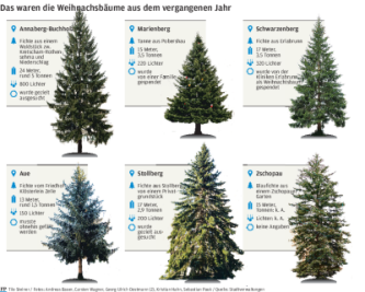 Weihnachtsbäume kommen trotz Energiekrise: Wie Städte im Erzgebirge sich dieses Jahr herausputzen - 