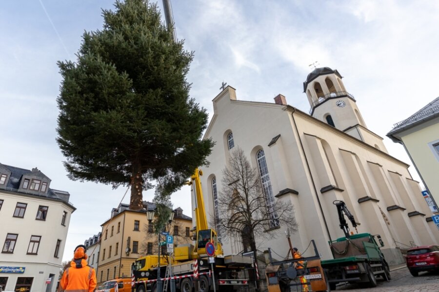 Weihnachtsbäume schweben auf Auerbacher Alt- und Neumarkt ein - 