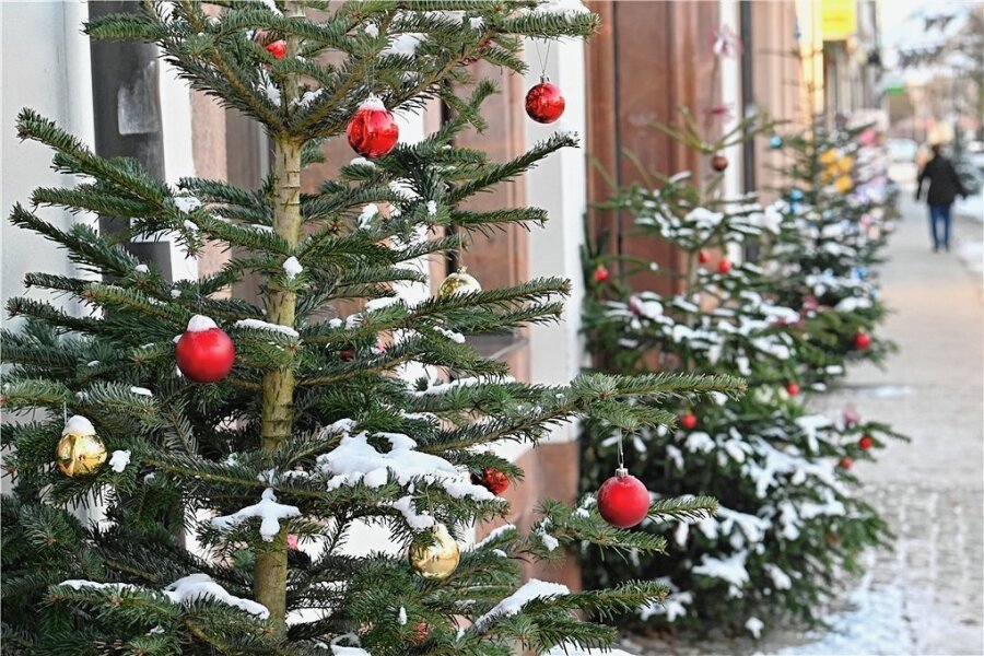 Weihnachtsbäume vor Geschäften in Rochlitz gestohlen - Weihnachtsbäume in der Rochlitzer Innenstadt erfreuen Passanten. An zwei Stellen jedoch wurden die Bäume gestohlen. 