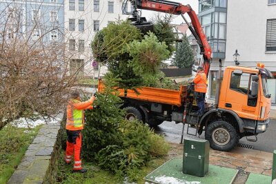 Weihnachtsbaum ade: Wie Freiberger ihre Tanne loswerden - Wie im Vorjahr wird die Stadt Freiberg in den kommenden beiden Wochen abgelegte Weihnachtsbäume abholen. 