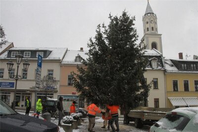 Weihnachtsbaum auf Elsterberger Marktplatz aufgestellt - Fast zehn Meter hoch ist die Tanne, die am Dienstagmittag auf dem Marktplatz in Elsterberg aufgestellt wurde.