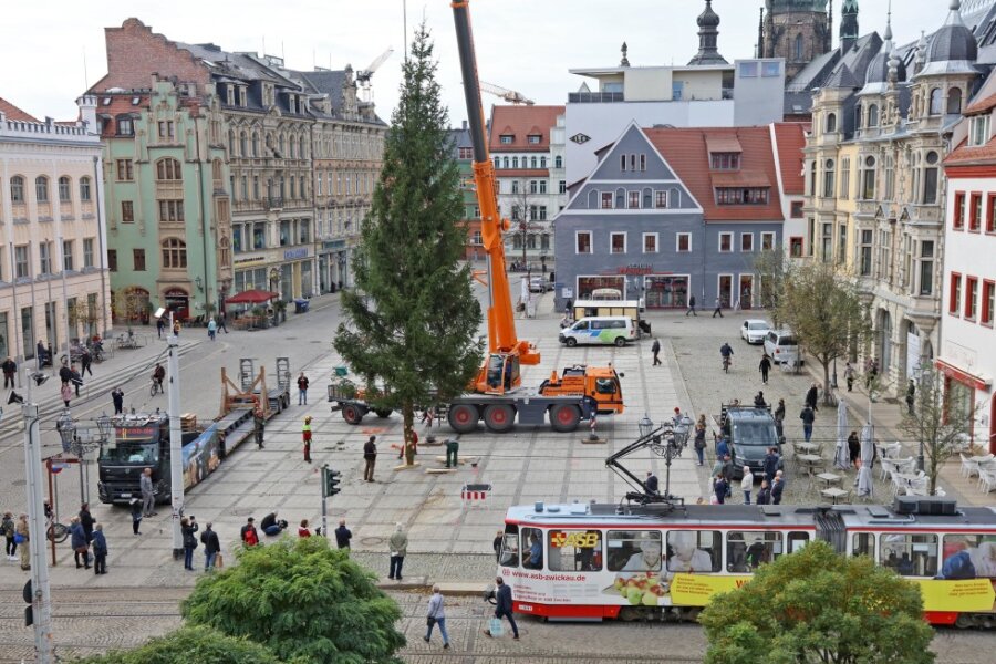 Weihnachtsbaum aus dem Vogtland schmückt Zwickauer Hauptmarkt - 