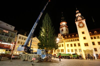 Weihnachtsbaum für Marktplatz kommt am 14. November - 