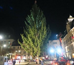 Weihnachtsbaum in Aue aufgestellt - Steht seit Mittwoch am Altmarkt: der Weihnachtsbaum. 