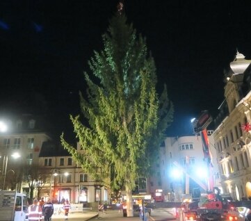Steht seit Mittwoch am Altmarkt: der Weihnachtsbaum. 