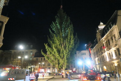 Weihnachtsbaum in Aue aufgestellt - Steht seit Mittwoch am Altmarkt: der Weihnachtsbaum