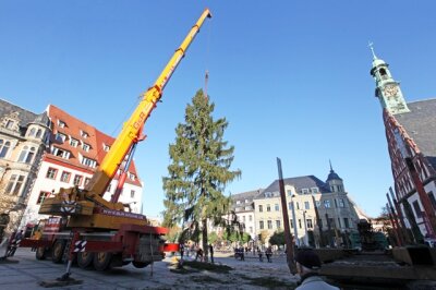 Weihnachtsbaum in Zwickau aufgestellt - 