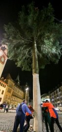 Weihnachtsbaum kommt am Samstag - So sah der Chemnitzer Weihnachtsbaum 2015 aus.