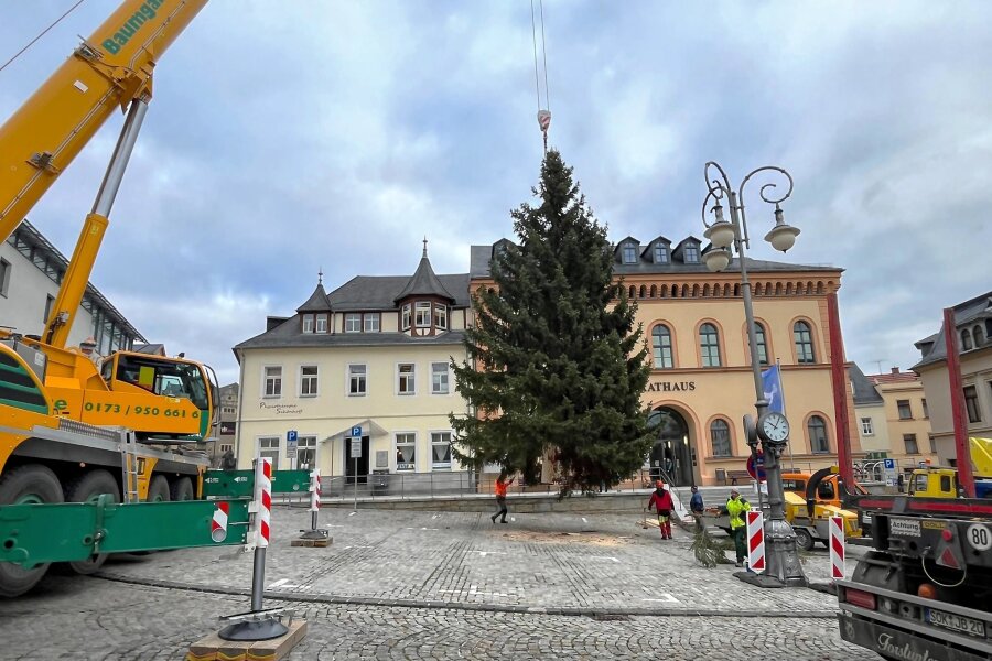 Weihnachtsbaum schwebt vorm Reichenbacher Rathaus ein - Der Weihnachtsbaum schwebt am Kranhaken vor dem Reichenbacher Rathaus ein.