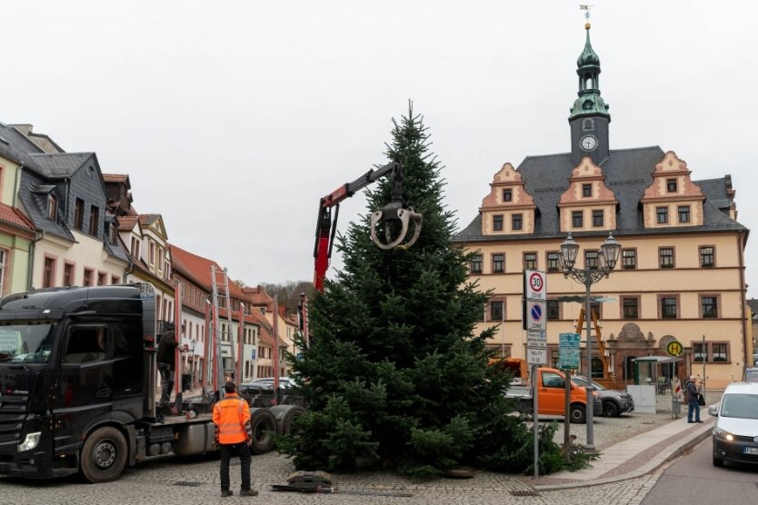 Weihnachtsbaum soll nach dem Totensonntag erstrahlen - 
