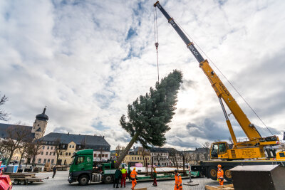 Weihnachtsbaum und Eisarena läuten Adventszeit ein - Der Weihnachtsbaum wird auf dem Marienberger Markt gesetzt.