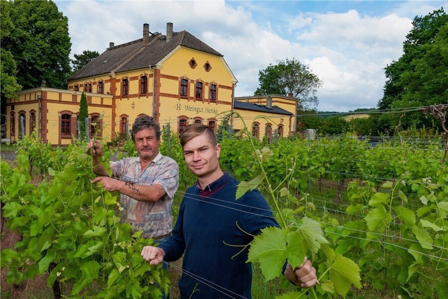 Wein vom Wasserwerk - Nachfolge geklärt: Christian Henke (vorn) mit seinem Vater Andreas im Familienweingut. 