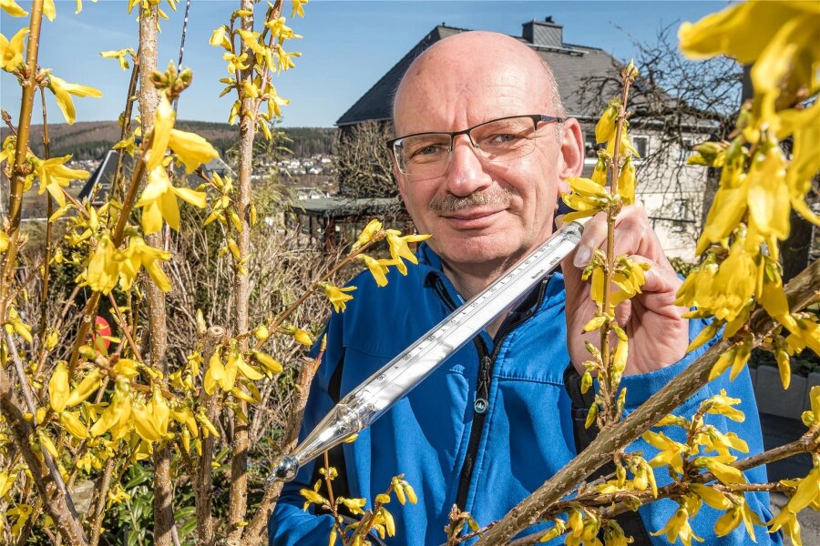 Weiße Ostern nach furiosem Frühlingsanfang? Was ein Hobbymeteorologe aus dem Erzgebirge dazu sagt - Im Vorgarten von Dirk Christoph blüht die Forsythie.