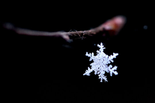 Weiße Weihnachten in Mittweida: Wann gab es das zuletzt? - Wie oft gab es seit Beginn der Wetteraufzeichnungen Schnee über die Festtage in Mittweida? 