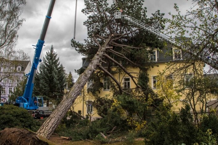 Weiter Straßensperrungen nach Unwetter - Am Hospitalweg in Freiberg drückte der Sturm einen Baum auf ein Haus.