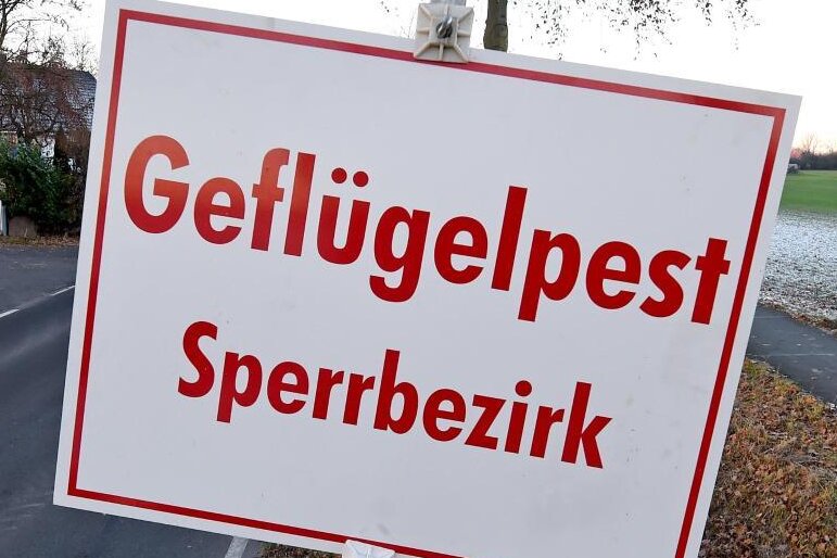 Weitere Vogelgrippe-Fälle in Mittelsachsen und im Vogtland - 