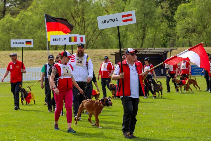 Weltmeisterschaft der Boxer-Hunde in Frankenberg: Suchen und schützen - Zehn Nationen traten zur Weltmeisterschaft in Sachsenburg an.