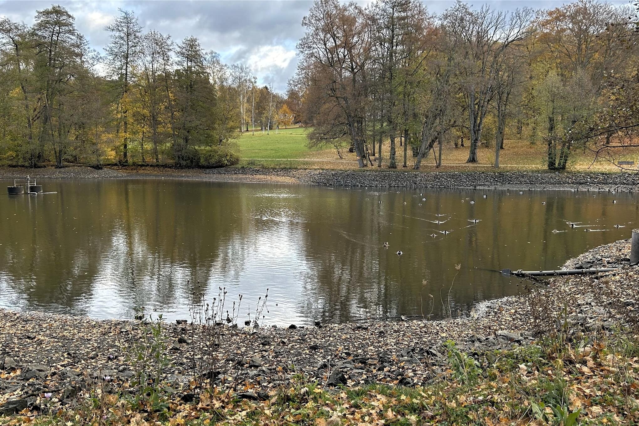 46+ Keine Steine In Den Teich Piktogramm, Sie ermöglichen es, den