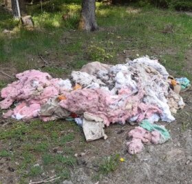 Wenn der Wald zur Müllkippe wird - Müll, der in einem Waldstück bei Markneukirchen illegal entsorgt wurde. Auch alte Matratzen wurden dort gefunden.
