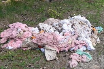 Müll, der in einem Waldstück bei Markneukirchen illegal entsorgt wurde. Auch alte Matratzen wurden dort gefunden.