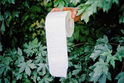 Wenn man im Wald auf Toilette muss - welche Regeln gelten fürs Geschäft zwischen Busch und Birke? - Toilettenpapier zersetzt sich schneller als Taschentücher. 