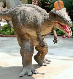Wenn Saurier nicht ausgestorben wären - Im Foto die Nachbildung eines Velociraptoren in einem Themenpark in Thailand. Die Dinosaurierart galt als vergleichsweise schlau. 