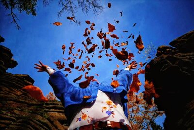 Wer hat das Erzgebirgsfoto des Jahres geschossen? - Herbstfreude an den Greifensteinen hat Melanie Metzech aus Lugau festgehalten. Die Froschperspektive zieht den Blick ins Bild, die dunkelroten Blätter kontrastieren wunderbar mit dem stahlblauen Himmel und verhindern, dass zu viel Leerraum erscheint.