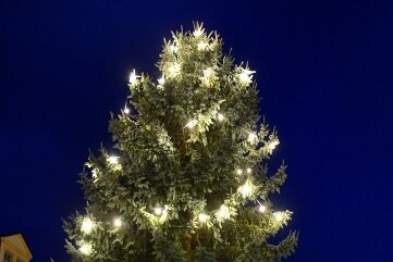 Wer hat den größten Baum: Die Vermessung der Weihnachtswelt - Platz 3 im Landkreis: Die Blautanne in Hainichen wurde Ende November aufgestellt und ist 13,57 Meter hoch.