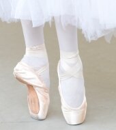 Wer wird neuer Theaterliebling? - Ballettensemble - Theaterliebling 2011