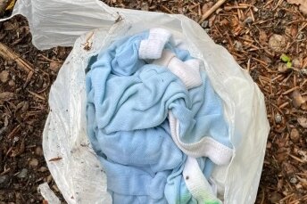 Wer wirft Windeln an den Waldrand? - In einem der weg geworfen Windelbeutel wurde auch gleich Babykleidung mit entsorgt. 