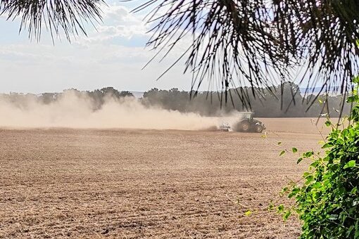 Werdau: Anwohner ärgern sich über Staubfahne bei Feldarbeit - Bei der Feldbearbeitung zog der Traktor eine riesige Staubfahne hinter sich her.