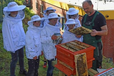 Werdauer Gymnasiasten bringen eigenen Honig auf den Markt - Gemeinsam mit Andreas Hohmuth kontrollierten die jungen Imker aus dem Werdauer Gymnasium die aufgestellten Beuten.