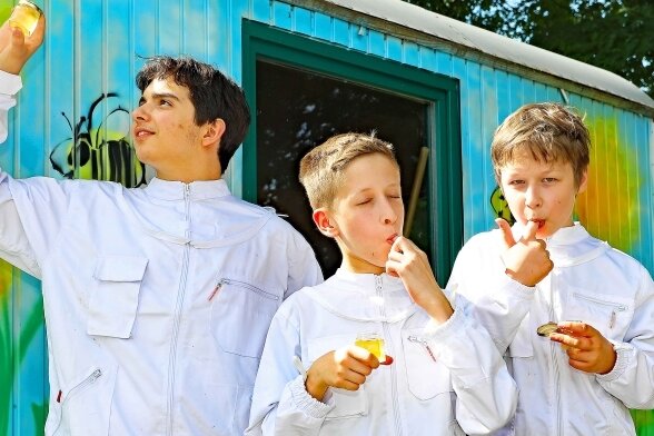 Werdauer Gymnasiasten vermarkten eigenen Honig - Filip Micic, Vitus Quadflieg und Lukas Tresch (von links) von der AG Imker prüfen den Honig auf Geschmack und Aussehen. 