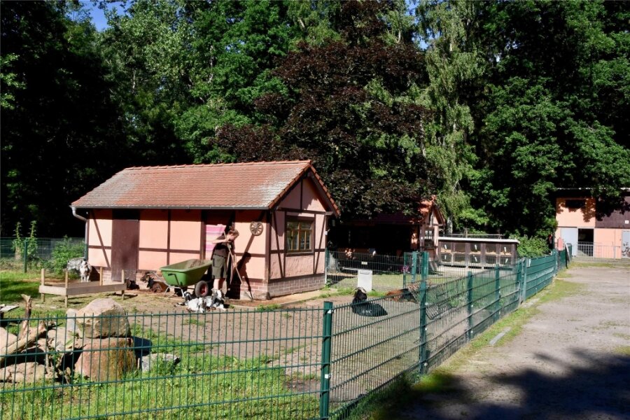 Wertschätzung für Engagement: Spendenaktion für Vereine in Limbach-Oberfrohna und Umgebung startet - Auch der Tierparkförderverein Limbach-Oberfrohna konnte sich 2022 über finanzielle Unterstützung freuen.