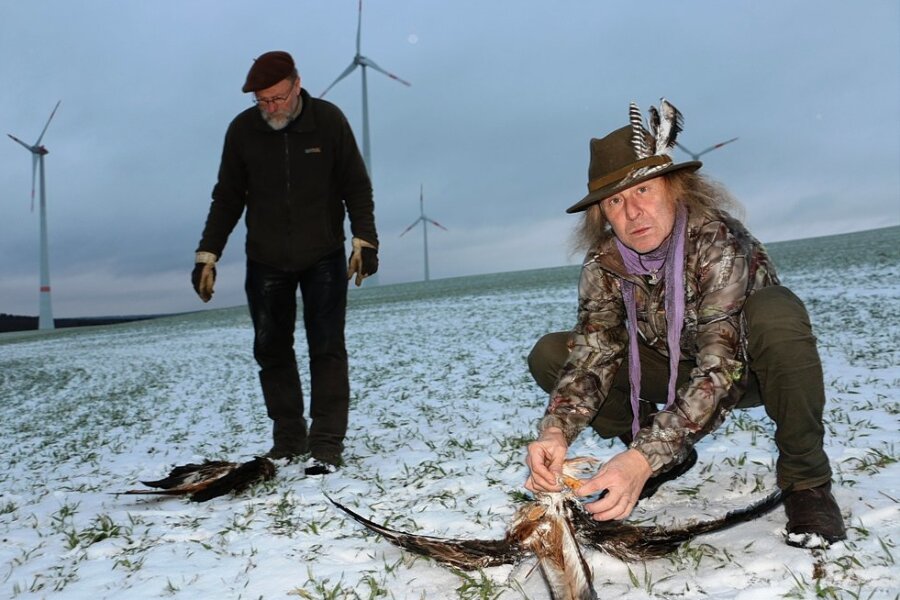 Weshalb Ornithologen in Plauen gegen Windkraftanlagen kämpfen - Peter Staudt (links) und Jens Neumeister mit den toten Rotmilanen unweit der Windräder.