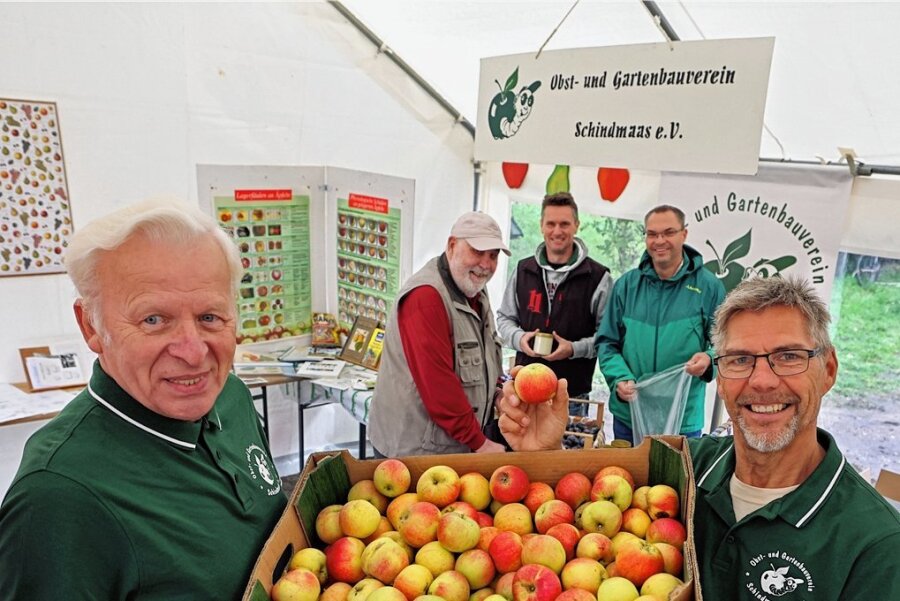 Westsachsen: Was Obst-Experten bei der Ernte im eigenen Garten auffällt - Frank Seidel (links) und Jens Seidl haben den Obst- und Gartenbauverein zum Herbstfest vertreten. 
