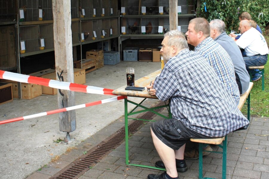 Wettkrähen in Langenreinsdorf: Wer ist der größte Schreihals? - Gewissenhaft zählt die Jury jeden Hahnenschrei.
