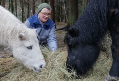 Marielle Füssel mit den Ponys Tanja (rechts), 1995 geboren, und Dany, 1994 geboren. Sie sollen auf dem Reiterhof in den wohlverdienten Ruhestand gehen.