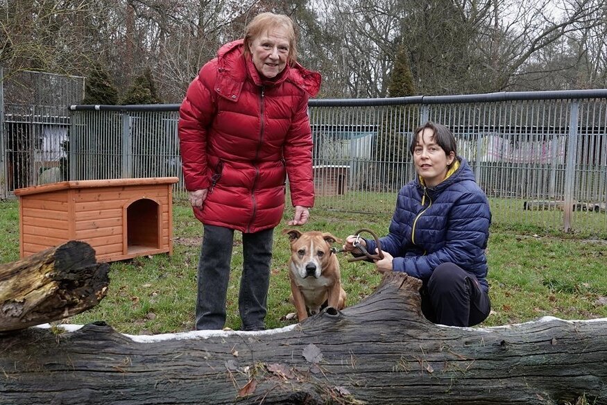 Tierschutzvereinschefin Claudia Ruf (rechts) und Schatzmeisterin Sabine Munthel haben auf der Suche nach Einnahmen auch Tiere aus anderen Landkreisen aufgenommen. Ein Beispiel ist Mischlingshund Bob. 