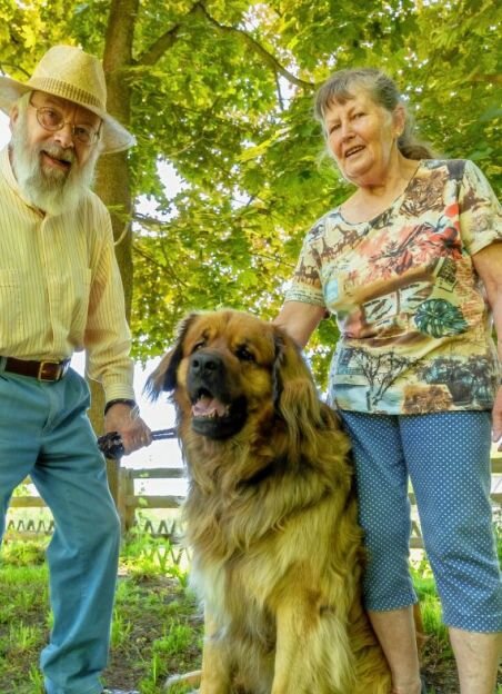 Wie ein Hund das Leben seines Herrchens rettet - Gert und Christa Lindner mit ihrem vierjährigen Leonberger Sultan. Der Rüde hat einem hilflosen 85-jährigen Mann zu Pfingsten das Lebengerettet. 