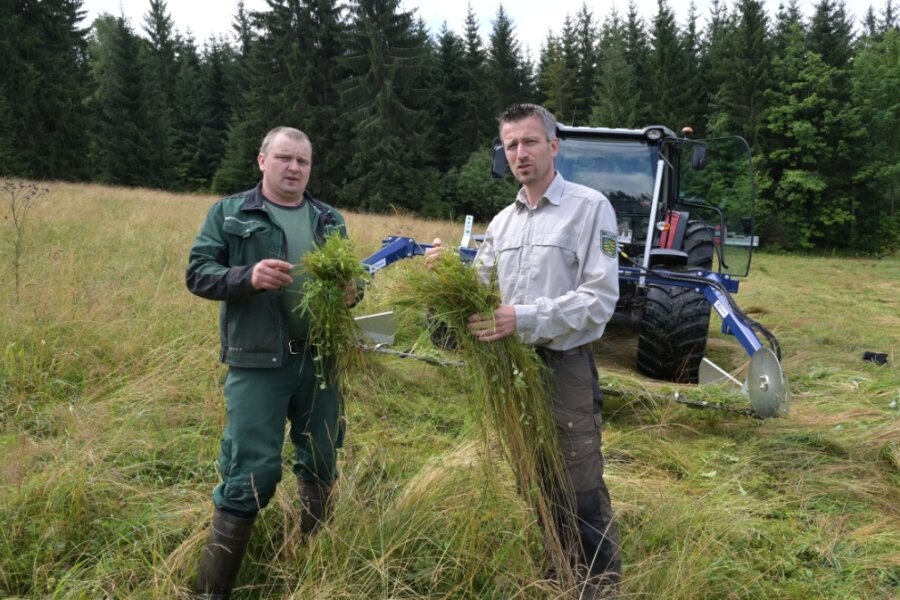Wie ein Landwirt Käfer & Co. rettet - Landwirt Ferdinand Schön aus Hammerbrücke (links) ist mit dem Forstbezirk Eibenstock eine Kooperation eingegangen. Clemens Weiser vertritt diesen. 