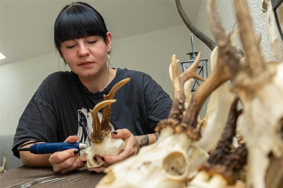 Wie eine Auerbacherin aus Tierschädeln Kunst macht - Linda Meichsner ist geübt im Fräsen - beruflich als Zahnarzthelferin und in der Freizeit als Künstlerin „Mihamei“. Mit ihren zarten Gravuren verleiht sie Tierschädeln ein zweites Leben in ästhetischer Schönheit.