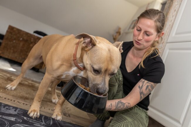 Wie eine Hündin beim Gassi-Gehen in Rodewisch knapp dem Tod entkam - Mit Vitaminpräparaten konnte Cindy Lauckner ihre Hündin Exy wieder aufpäppeln. Eine Woche ging es dem Tier schlecht. Beim Gassi-Gehen wird die Rodewischer Halterin genau auf Giftköder achten. 