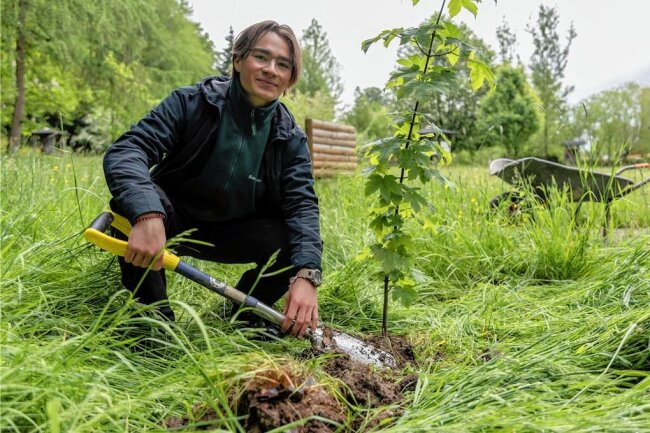 Wie einem jungen Netzschkauer ein Freiwilliges Ökologisches Jahr bei der beruflichen Orientierung hilft - Vincent List hat einen Ahorn-Baum gepflanzt. Das Freiwillige Ökologische Jahr in Eich hat ihm dabei geholfen, einen Beruf zu finden, den er einmal erlernen möchte.
