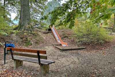 Wie es mit dem Spielplatz im Reinsdorfer Park in Plauen weitergeht - Die Wurzeln der alten Bäume am Spielplatz im Reinsdorfer Park verhindern aus Sicht der Stadt eine Erneuerung alter Spielgeräte.