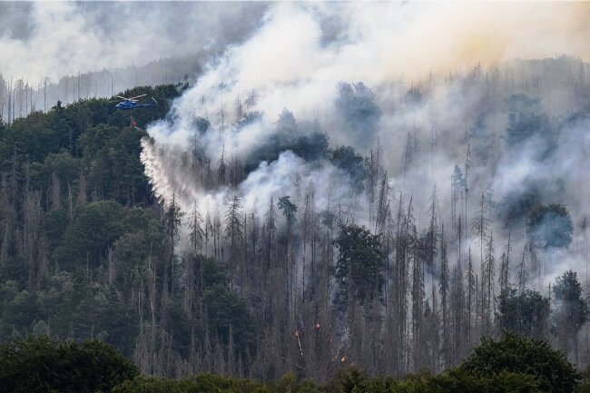 Wie gefährlich ist der Rauch von Waldbränden? - Bei jedem Waldbrand gelangt eine große Menge verschiedener Partikel in die Luft. 