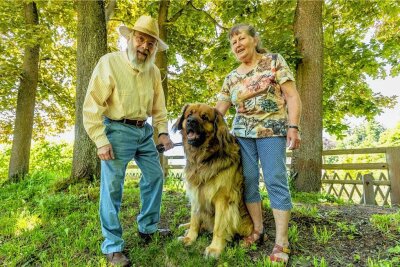 Wie Hund Sultan für vermissten 85-jährigen in Falkenstein zum Lebensretter wurde - Gert und Christa Lindner mit ihrem vierjährigen Leonberger Sultan. Der Rüde hat einem hilflosen 85-jährigen Mann zu Pfingsten das Leben gerettet. 