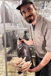 Wie Kaffeesatz zu leckeren Pilzen wird - Pilzzüchter Maximilian Höller: Ein Sprühnebel sorgt für genug Luftfeuchtigkeit. Wenn alles gut läuft, wachsen aus den Löchern große Austernpilze.